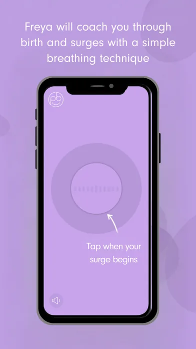 Freya contraction timer