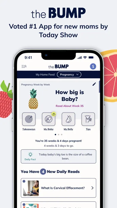 The Bump contraction timer